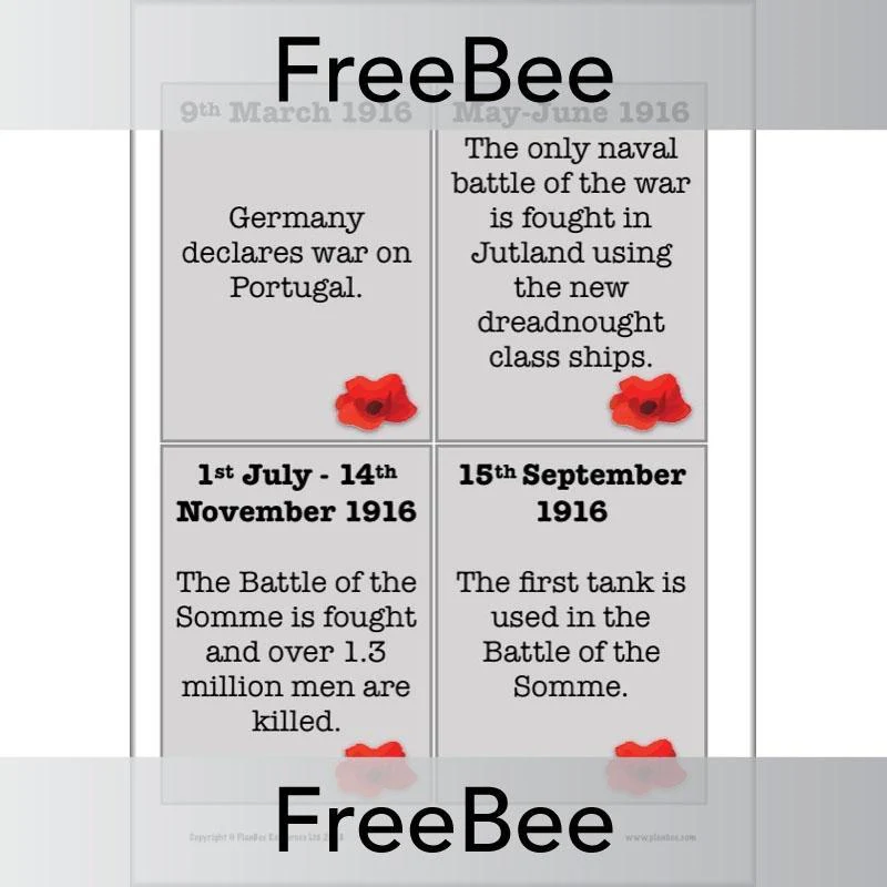 World War 1 Timeline Cards - Image 6