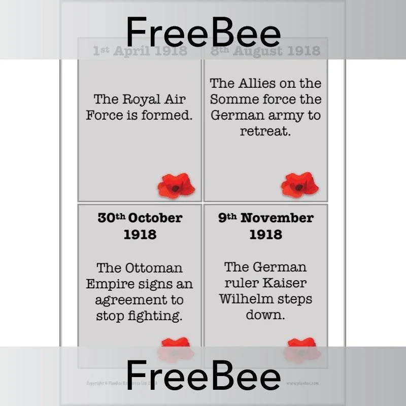 World War 1 Timeline Cards - Image 8