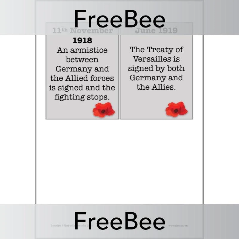 World War 1 Timeline Cards - Image 9