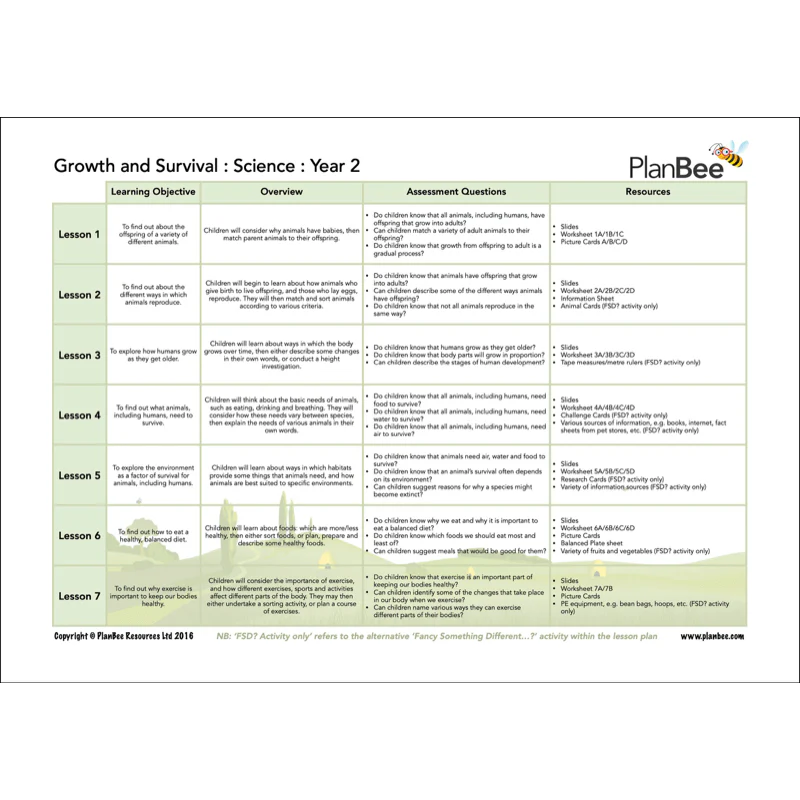 Year 2 Science Bundle - Image 8