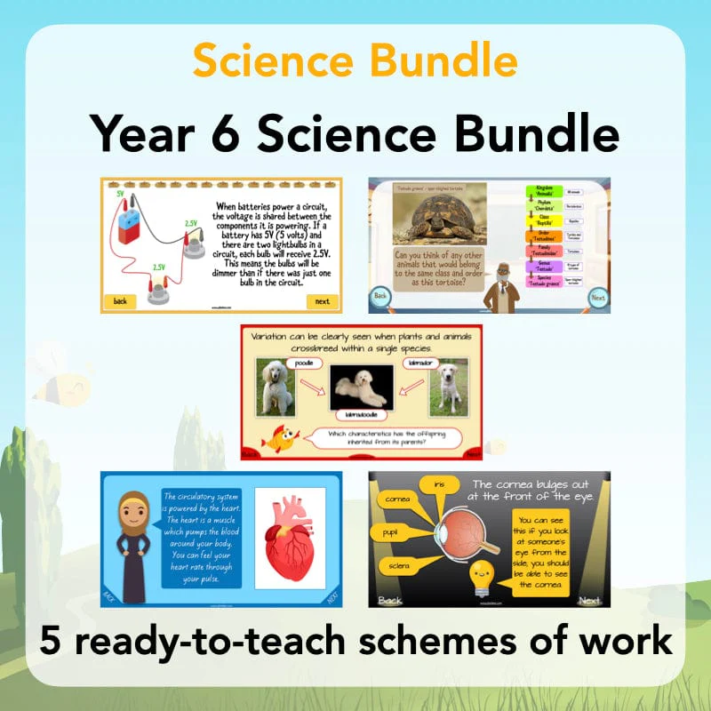 Year 6 Science Bundle
